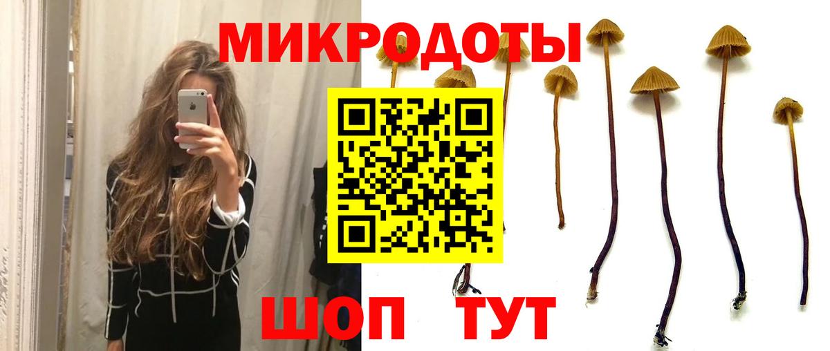 Псилоцибиновые грибы MAGIC MUSHROOMS  Вход с VPN  Псилоцибиновые грибы мицелий  Ачинск 